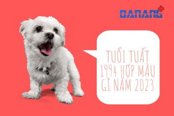 Tuổi Tuất 1994 hợp màu gì năm 2023