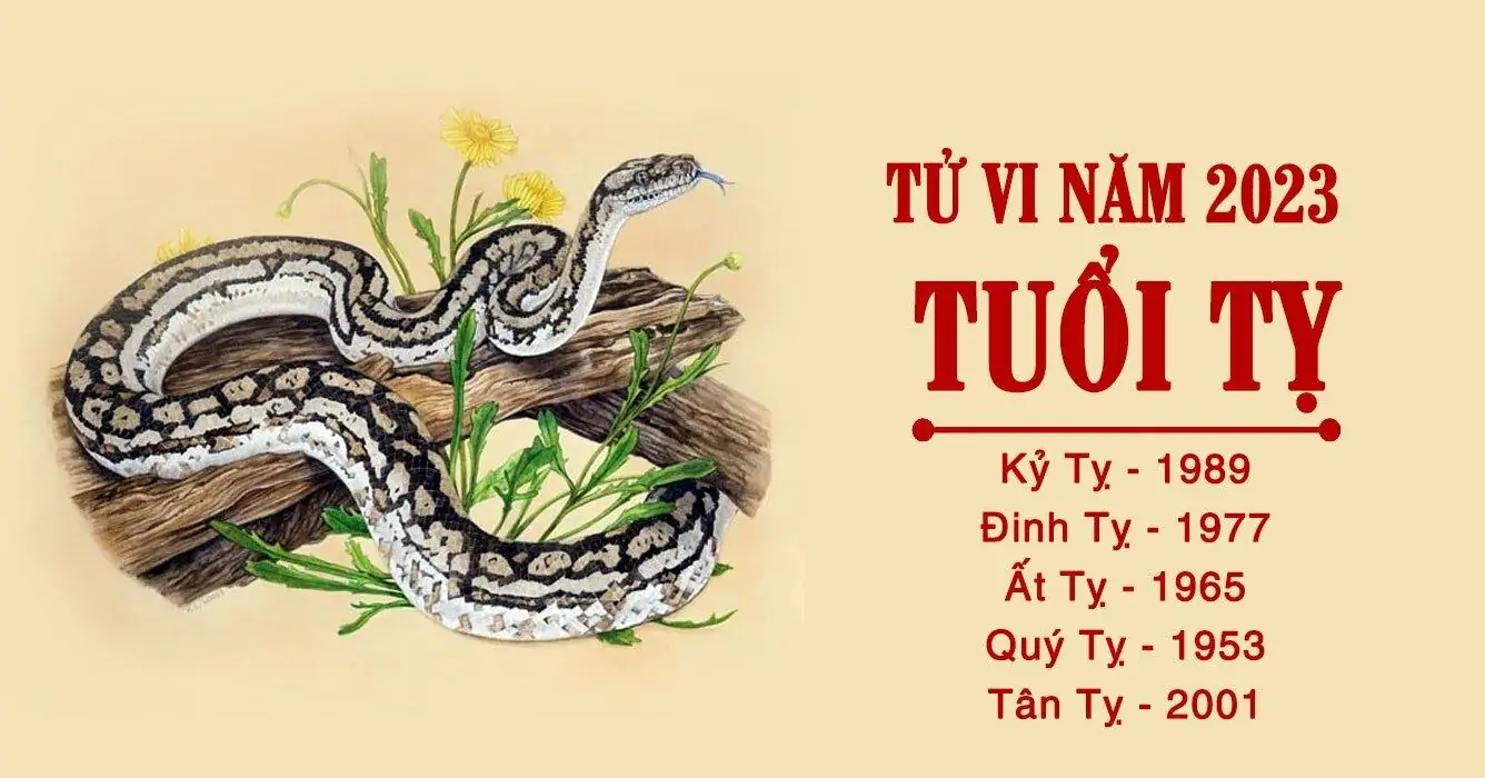 Tuổi Tỵ mặc màu gì năm 2023 để bình an, suôn sẻ cả năm? 17 Khái quát tử vi tuổi Tỵ năm 2023 tốt hay xấu?