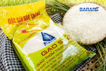 Cửa hàng gạo ST25 Đà Nẵng