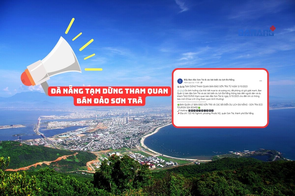 Đà Nẵng: Tạm dừng tham quan bán đảo Sơn Trà do mưa to, sương mù