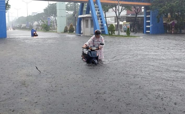 mua nhu trut nuoc nhieu noi o da nang tai ngap 7