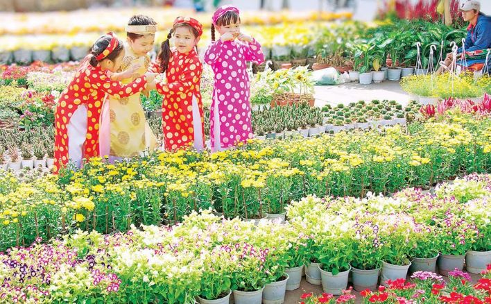 Đà Nẵng: Bắt đầu chợ hoa Tết Giáp Thìn 2024 vào ngày 31/01