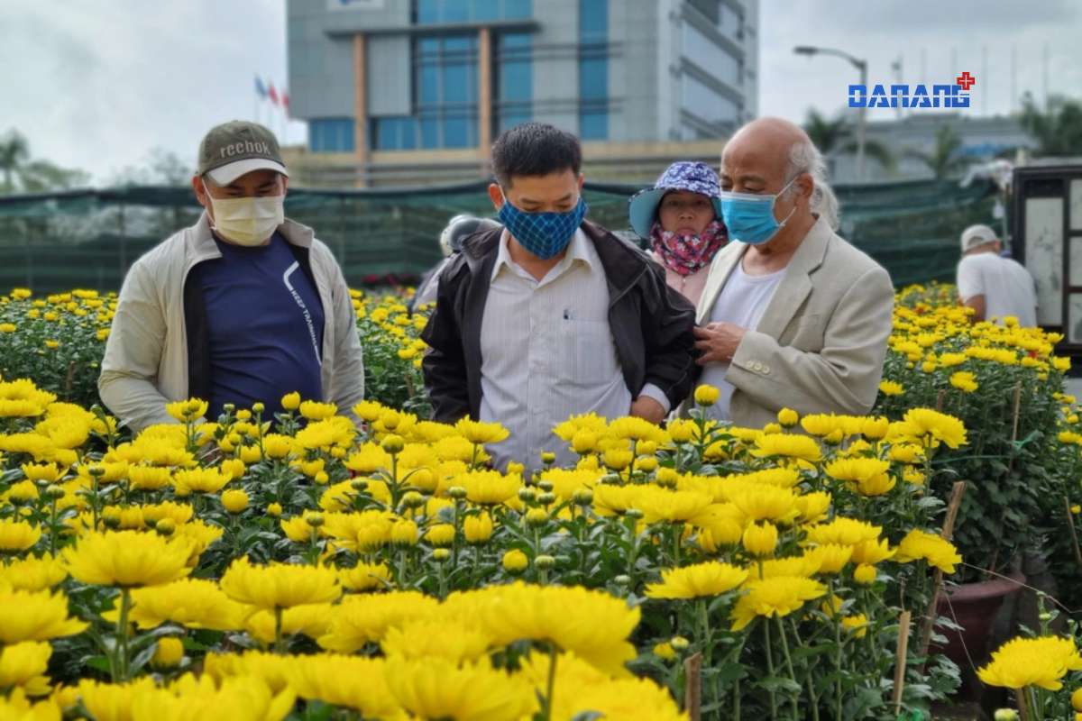 Đà Nẵng: Bắt đầu chợ hoa Tết Giáp Thìn 2024 vào ngày 31/01